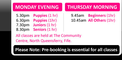 Class information
